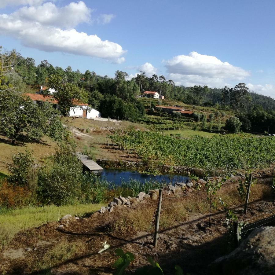 Ferienwohnung Casa Na Quinta De Valinhas Vitorino dos Piães Exterior foto